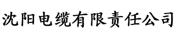 wwwady香蕉视频电缆厂logo